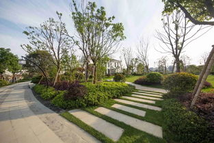 看慣了北方的生態(tài)粗線條 來(lái)感受下江南精品園林的畫(huà)風(fēng)