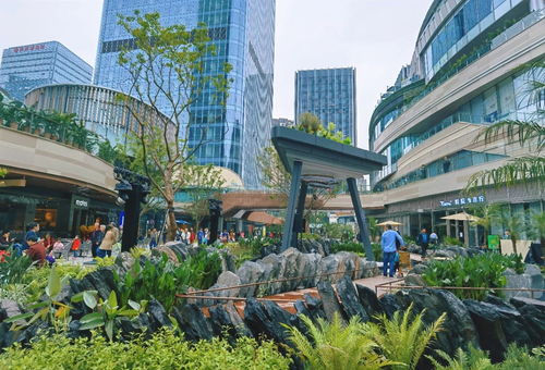 關(guān)注第十八屆重慶市市長(zhǎng)國(guó)際經(jīng)濟(jì)顧問(wèn)團(tuán)會(huì)議 重慶打造內(nèi)陸開(kāi)放綜合樞紐 市長(zhǎng)顧問(wèn)團(tuán)企業(yè)如何助力