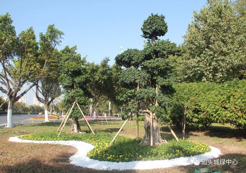 推動 創(chuàng)文強管 ,打造精品園林