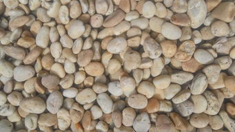 山河園林信譽好的雨花石銷售商 尋求優(yōu)質(zhì)的雨花石