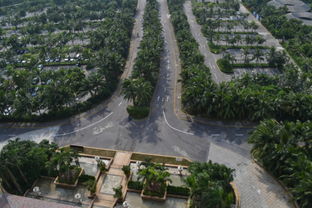 融創(chuàng)觀瀾湖公園壹號三期在售 均價17000元 ㎡帶裝修