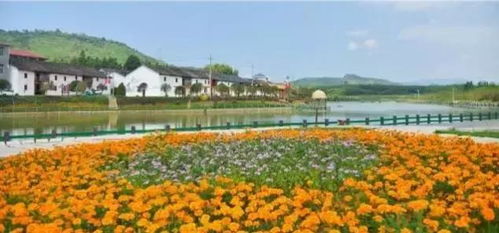 萍鄉(xiāng)這個地方又獲全省第一 為她點贊