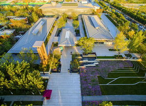 加盟鐵漢生態(tài)近一年,星河園林在天津交出了怎樣的成績(jī)單