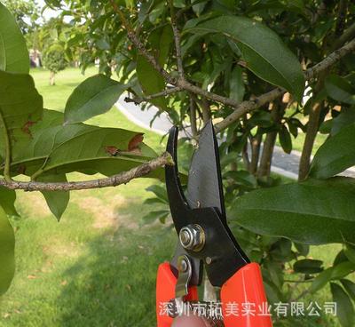 德國(guó)圣德保羅sd-311 15件園林工具套裝