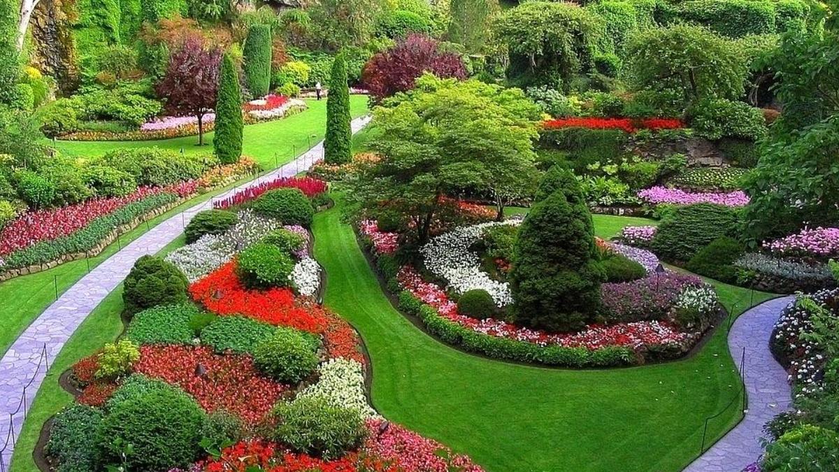 園林綠化與病蟲害防治的問題和對(duì)策——以廣東田野風(fēng)實(shí)業(yè)為例